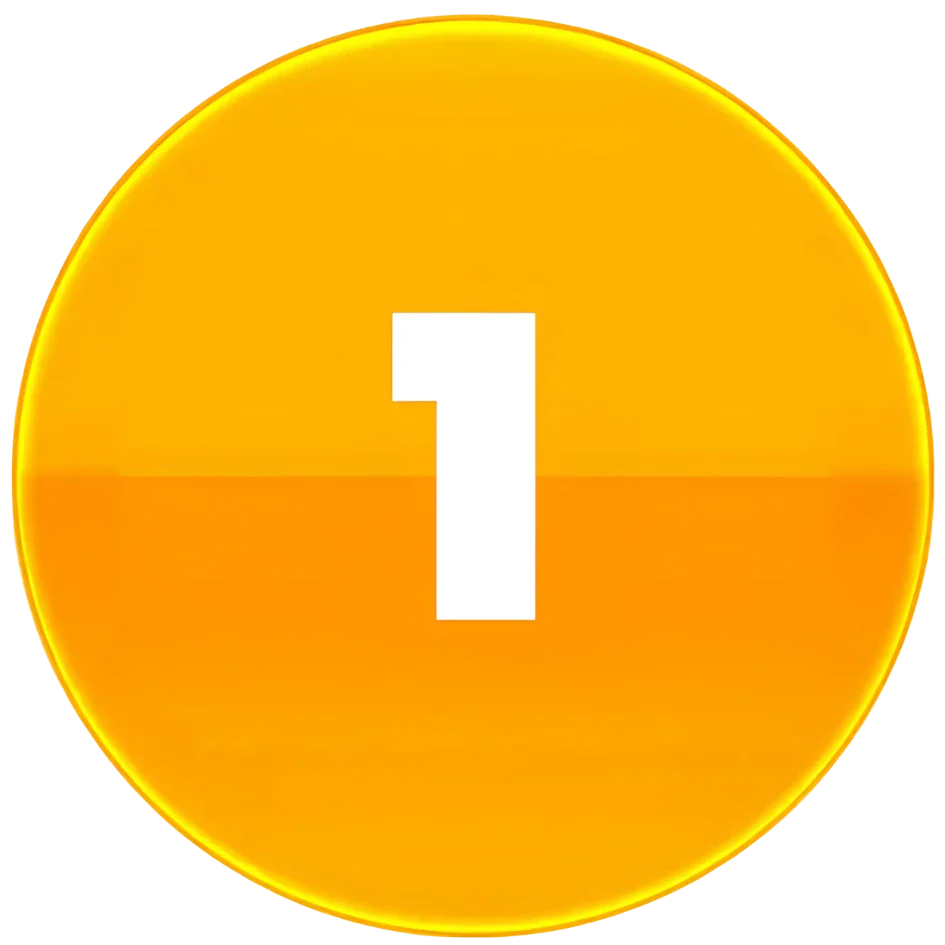 1 año