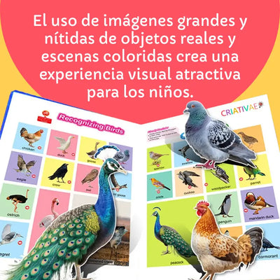 Libro de Sonidos foto 2