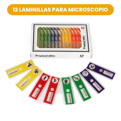Microscopic Criativae - Laminillas